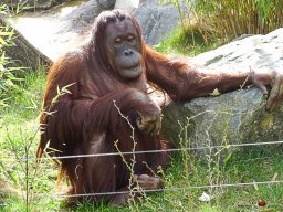 Tiergarten Schönbrunn am 23.03.2023